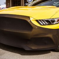 Mustang-13_preview