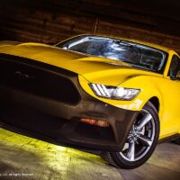 Mustang-4_preview