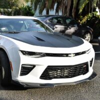 w2_00d7edce-8294-4f99-8ebd-e614395840e9_800x800