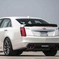 06_b4bc21f7-1bf4-4a59-9863-1e9b9a33798f_800x800