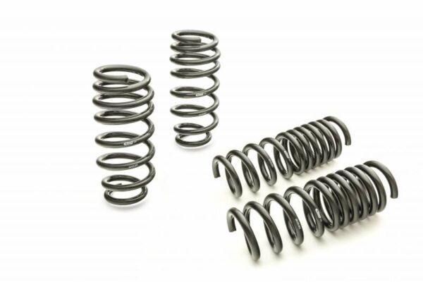 2015 - 22 Dodge Charger RT Eibach Pro Lowering Springs Kit