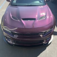 image_63c51a18-696b-47dc-b9ef-fca72a8300df_1024x1024