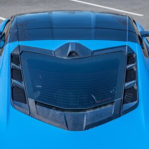 C8 Corvette Coupe Carbon Fiber Rear Decklid Camera Cover