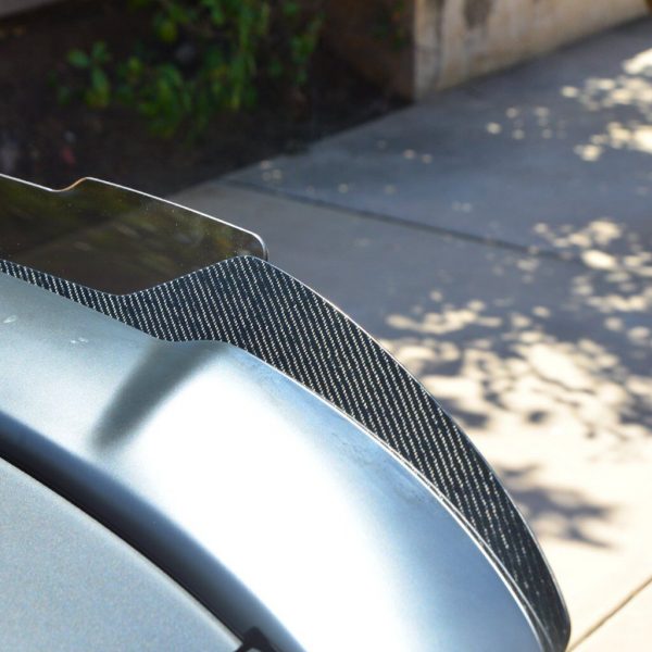 2015 - 23 Charger Carbon Fiber Stealth Wickerbill