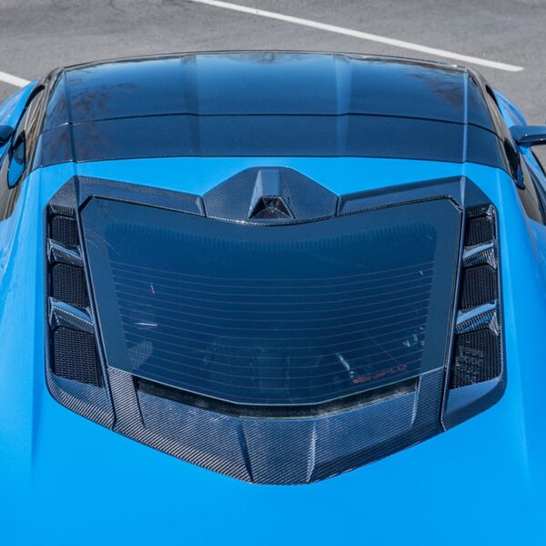 C8 Corvette Coupe Carbon Fiber Lower Window Trim