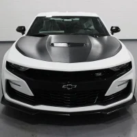 n0_7859a373-4fd8-49ee-89bb-c83beee936cc_1800x1800