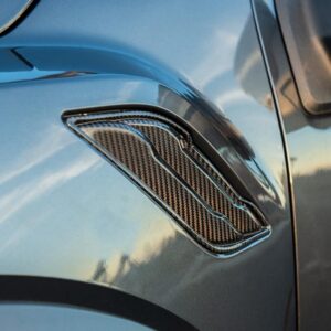 2017 - 20  F-150 Raptor Carbon Fiber Side Fender Vents