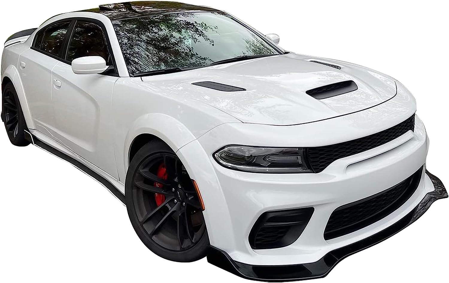 Front Splitter Lips