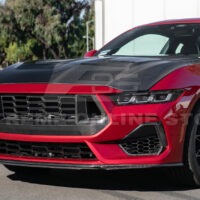 DSC_0328_1_1800x1800