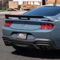 DSC_2224_1_1800x1800