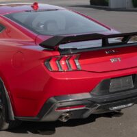 DSC_4633_1_1800x1800