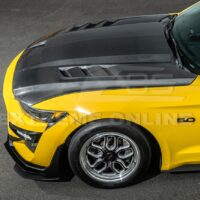 DSC_6172_91f5e9b9-e103-4406-9f52