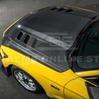 DSC_6173_cc475a2c-19dd-4bdd-aad0