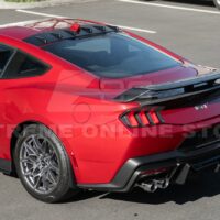 DSC_0541_1_1800x1800