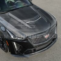 DSC_0546_76ff7055-c9fa-46b3-92c5