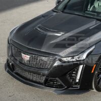 DSC_0557_5c9a21b3-ee9b-40ae-92d7