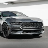 DSC_3619_1_1800x1800