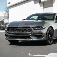 DSC_3627_1_1800x1800