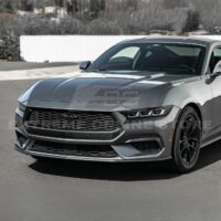 DSC_3628_1_1800x1800