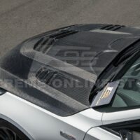 DSC_4478_c1bd45cf-9696-403a-9ec8