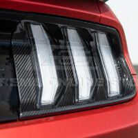 DSC_8080_362384a5-de42-45d8-aa72