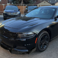 Screenshot 2026-02-13 at 2.01.35 PM