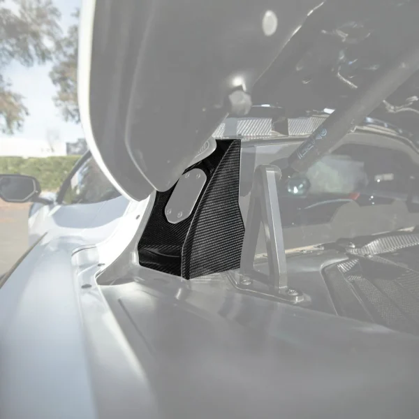 Corvette C8 Dry Carbon Fiber Rear Hatch Hinge Pillar Trim Cover Overlays